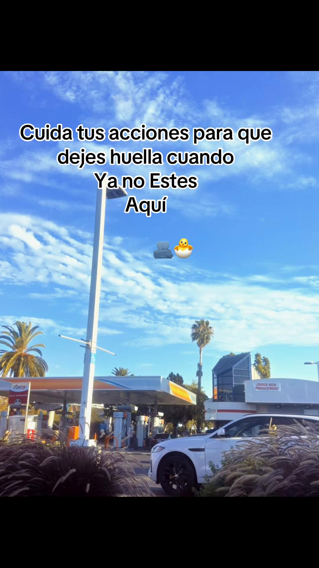 @aquihaydetodo14
