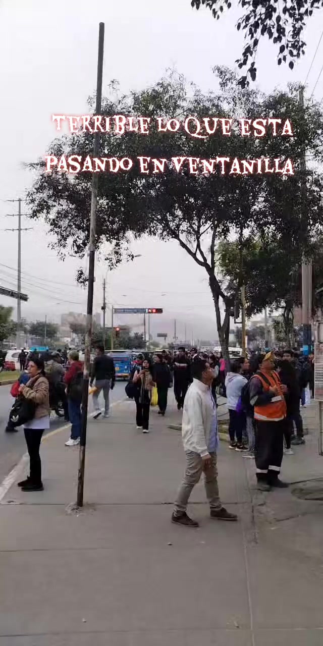 @Renato Vega Valera