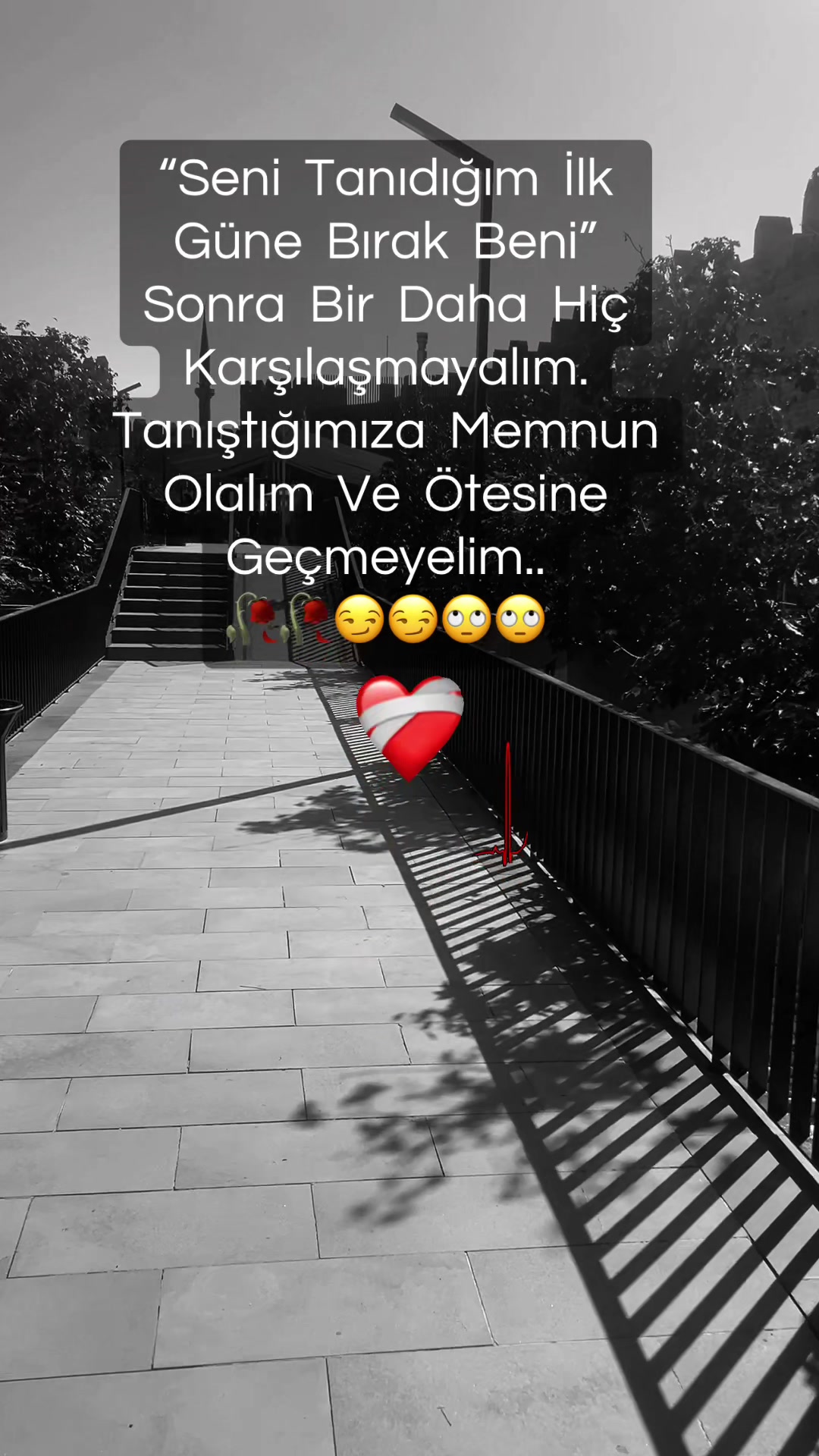 @✨🤍Ayliz_S🤍✨