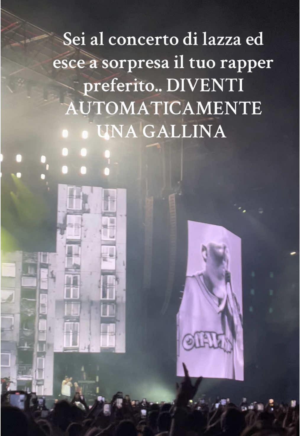 @soniazuccottii