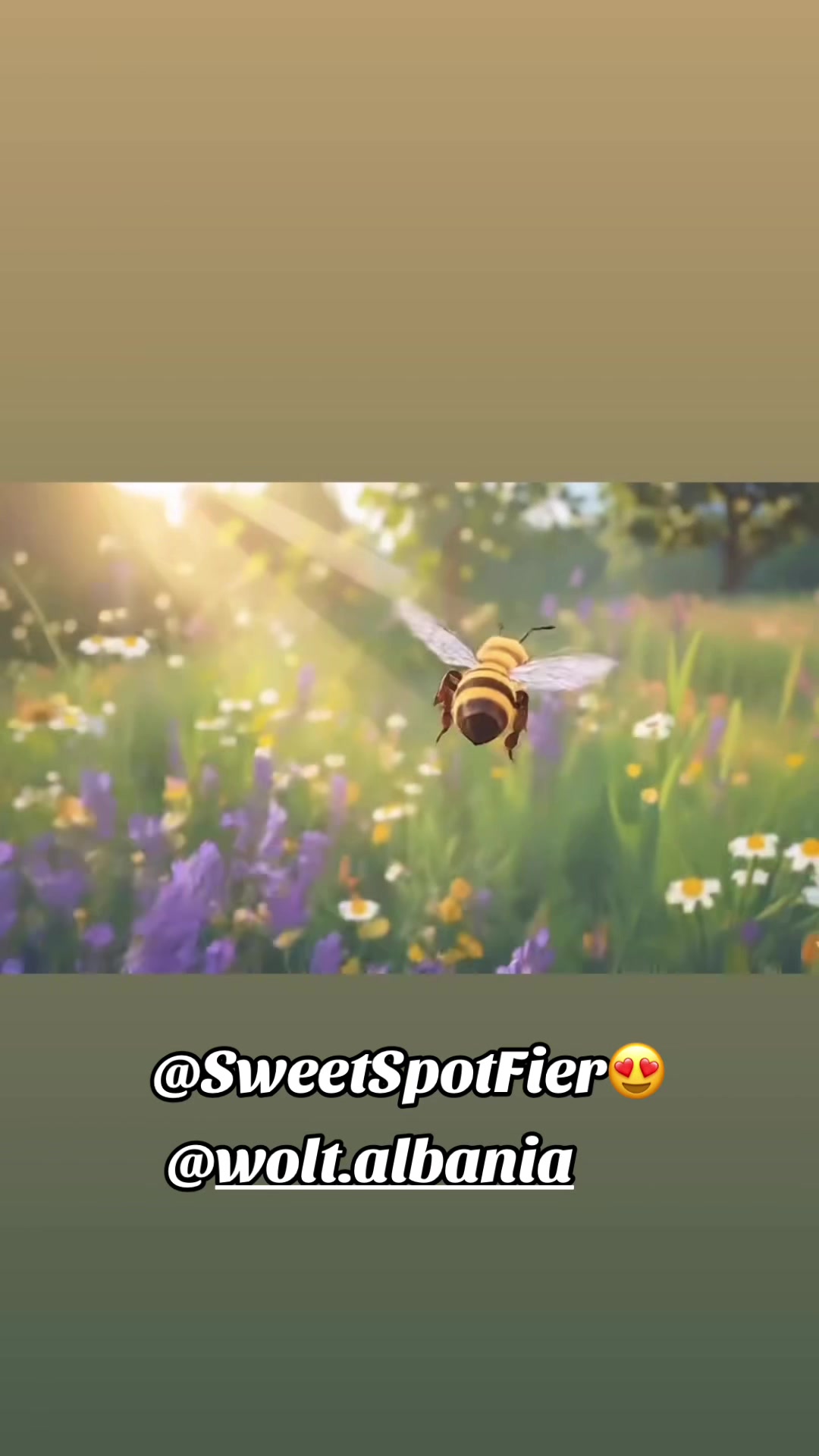 @sweetspotfier