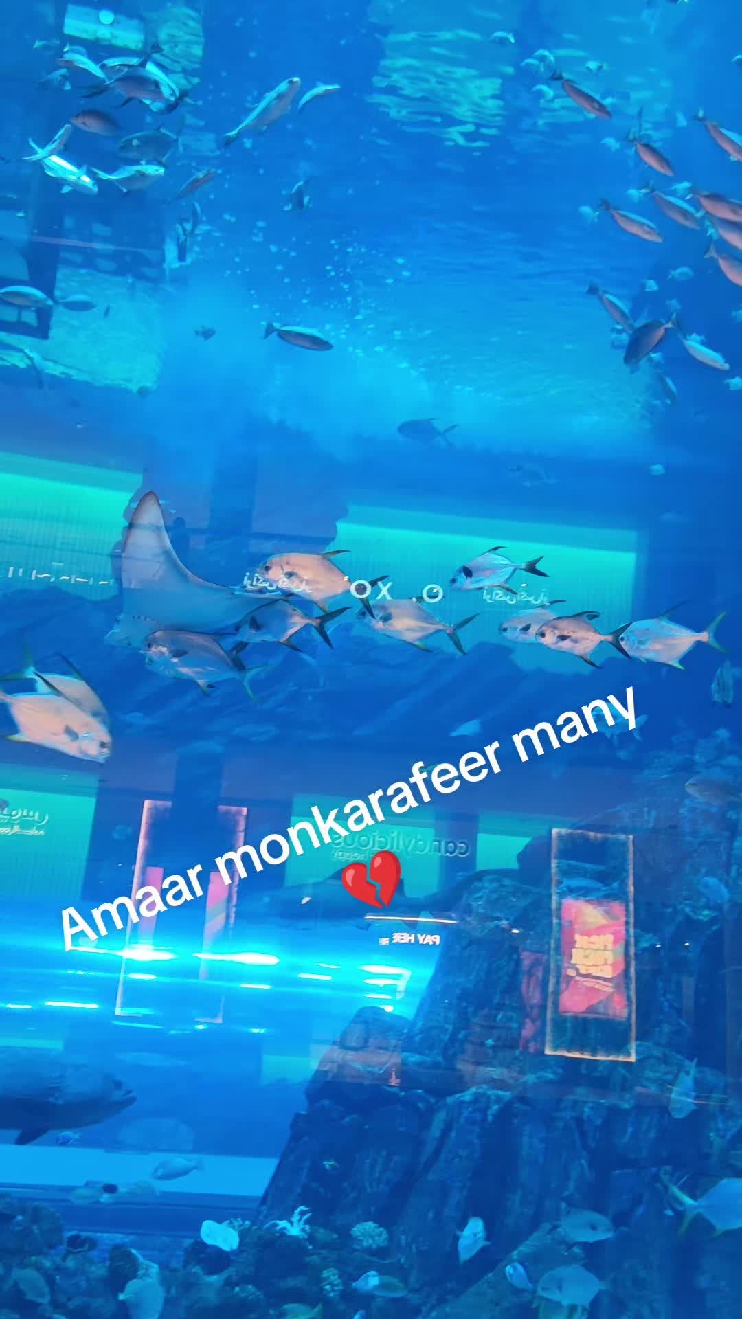 @AKAtiktoki30
