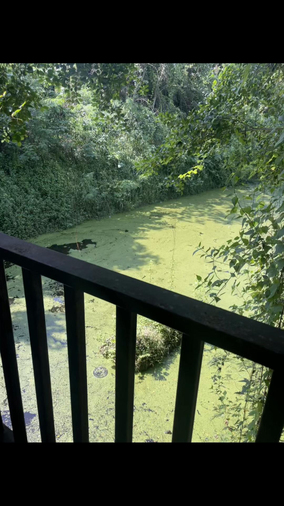 @ฟ้า ธนนันท์🍒
