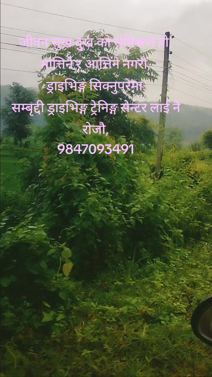 @बासु कोइराला (Basu Koirala)