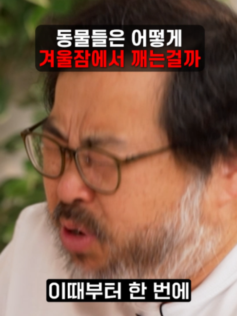 @๋ณด๋ค