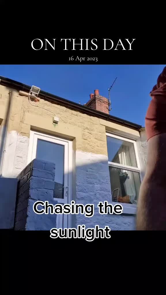 @Freddie 🪵