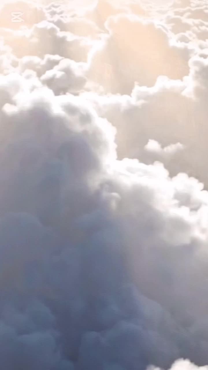 @شركة الهدى