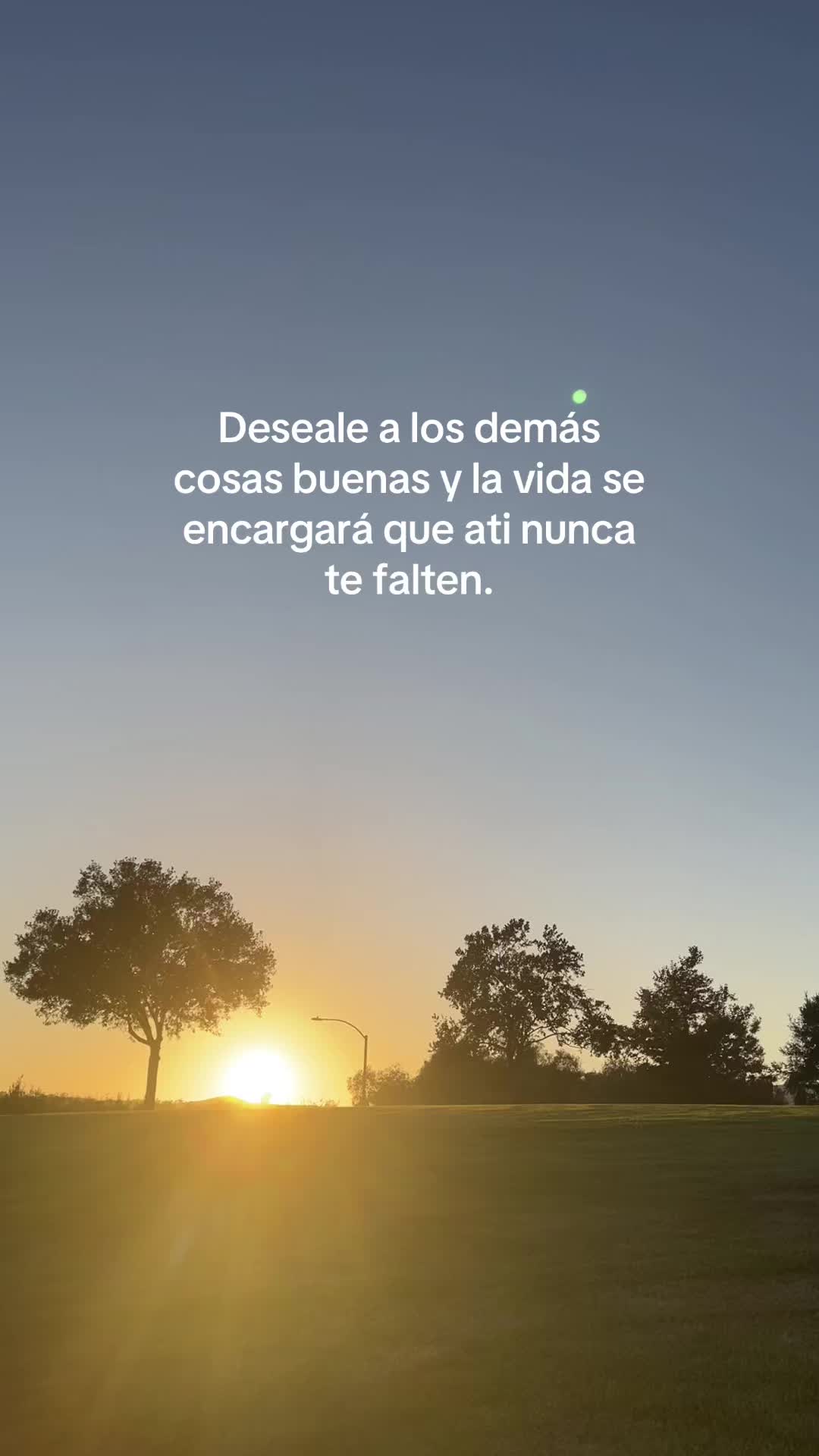 @odalischavezzz