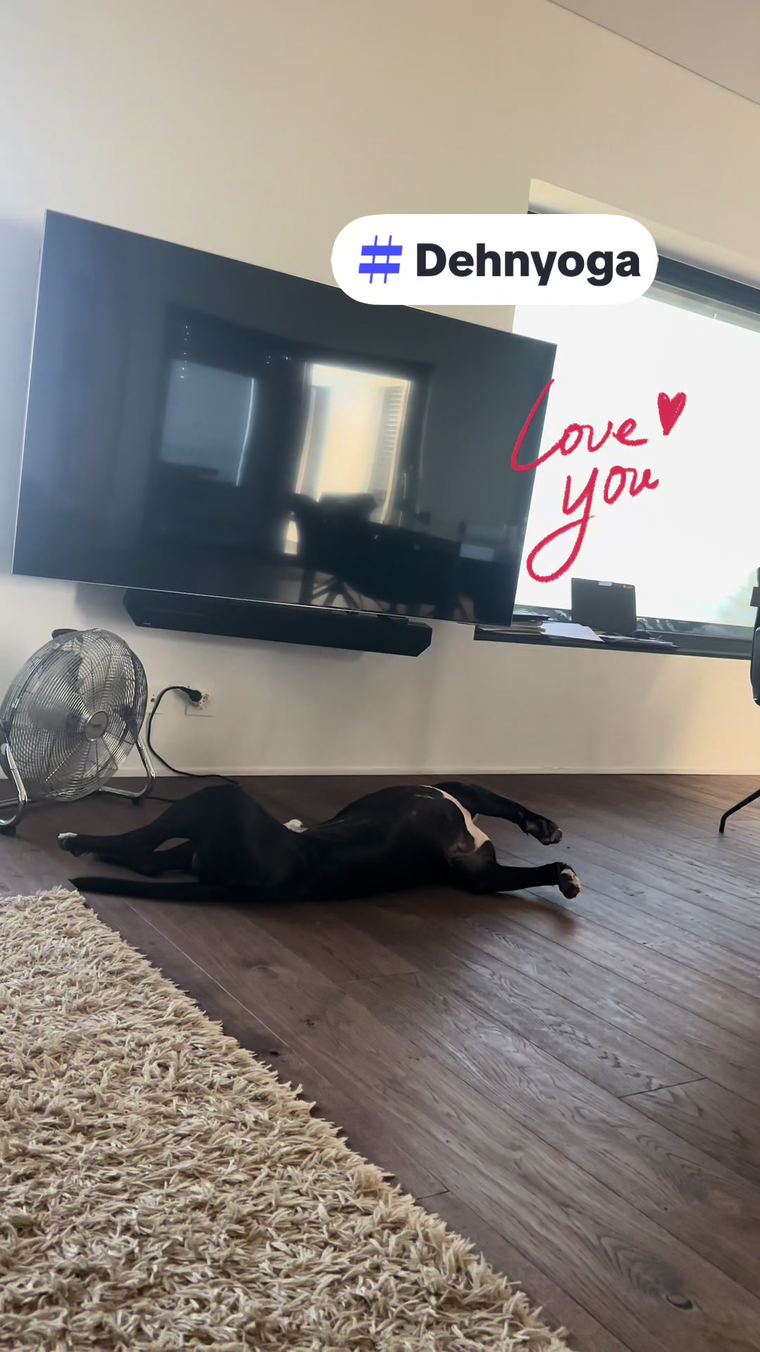 @Amstaff Tyson & Tayna &hearts;️
