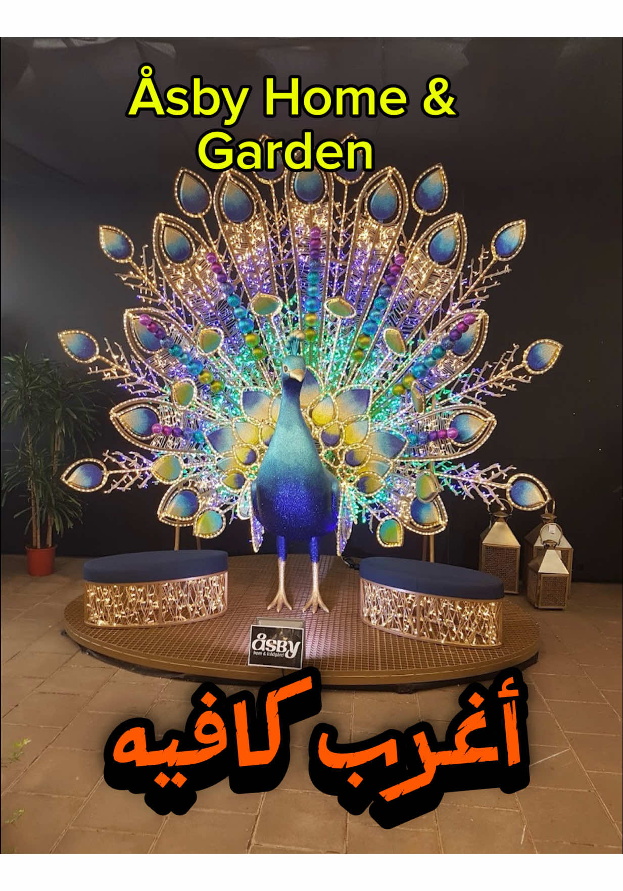 @Lilaaf Hassan