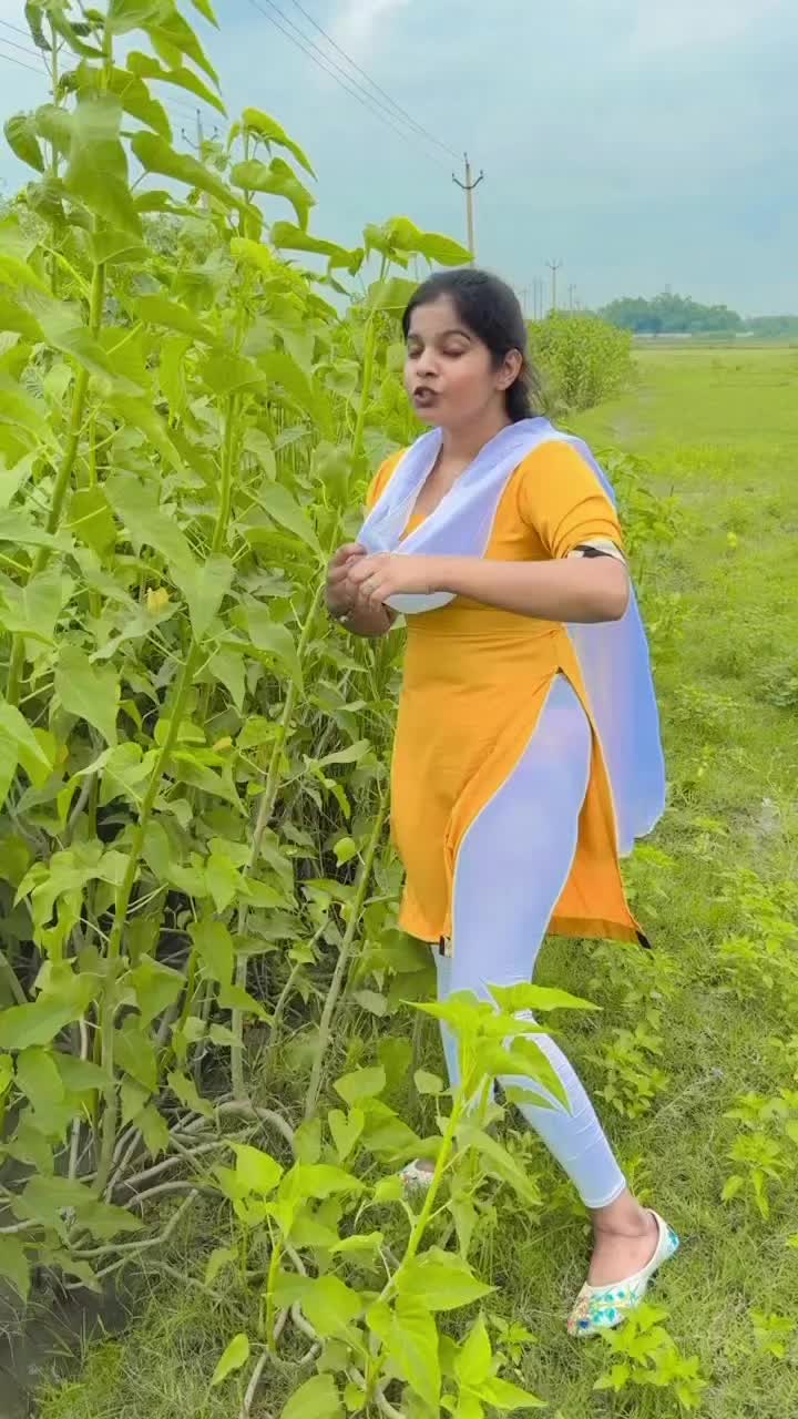 @Hina Bharti
