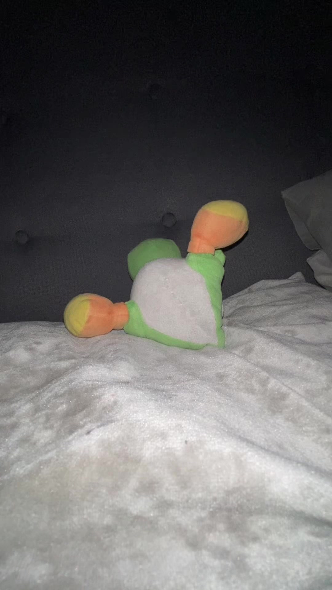 @Disco Chomper