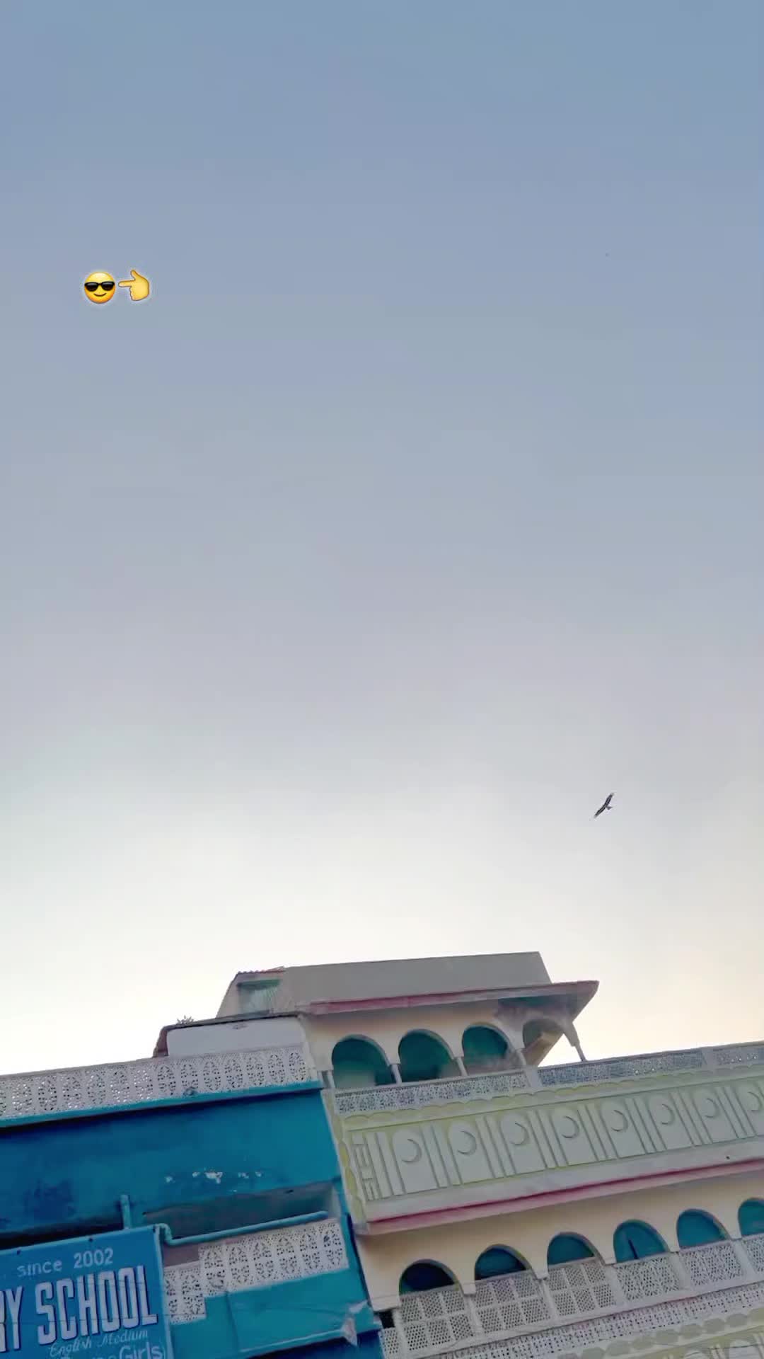 @Lahore King