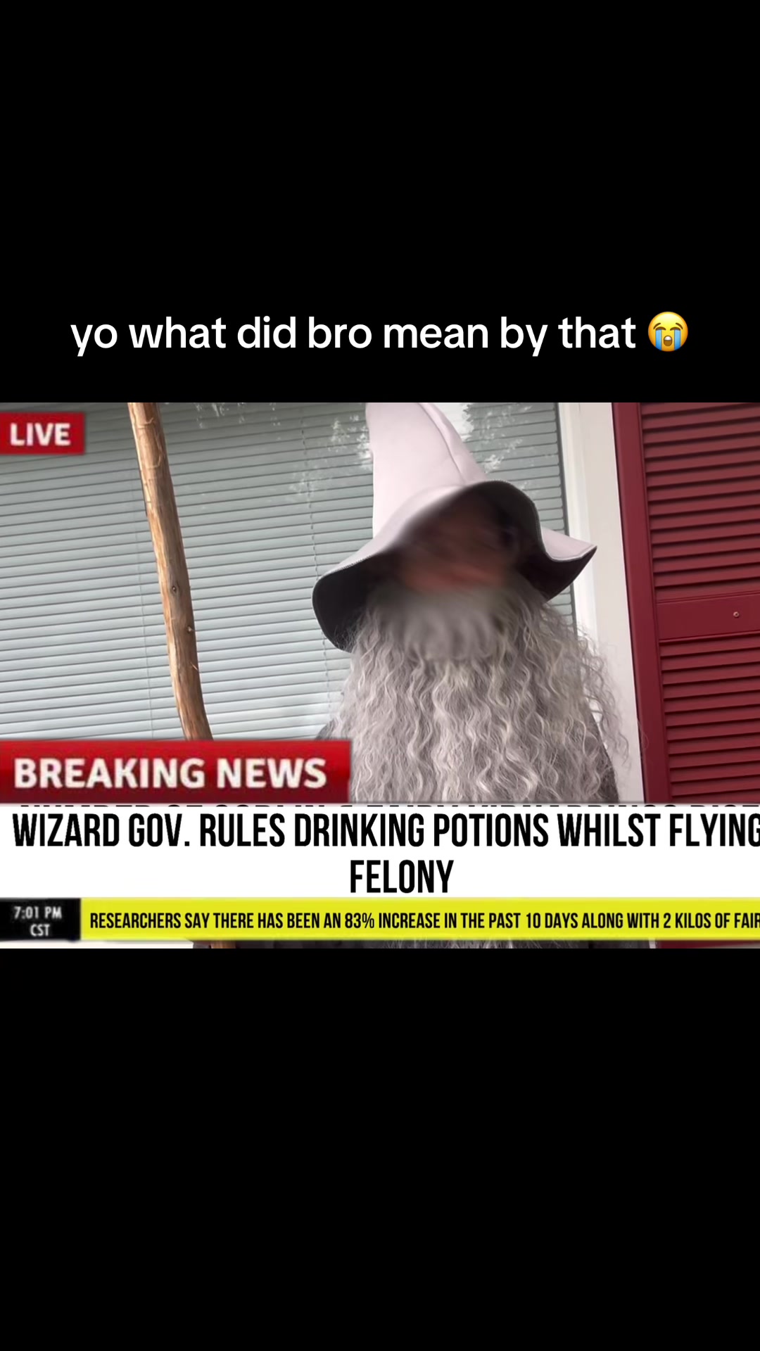@dawizd