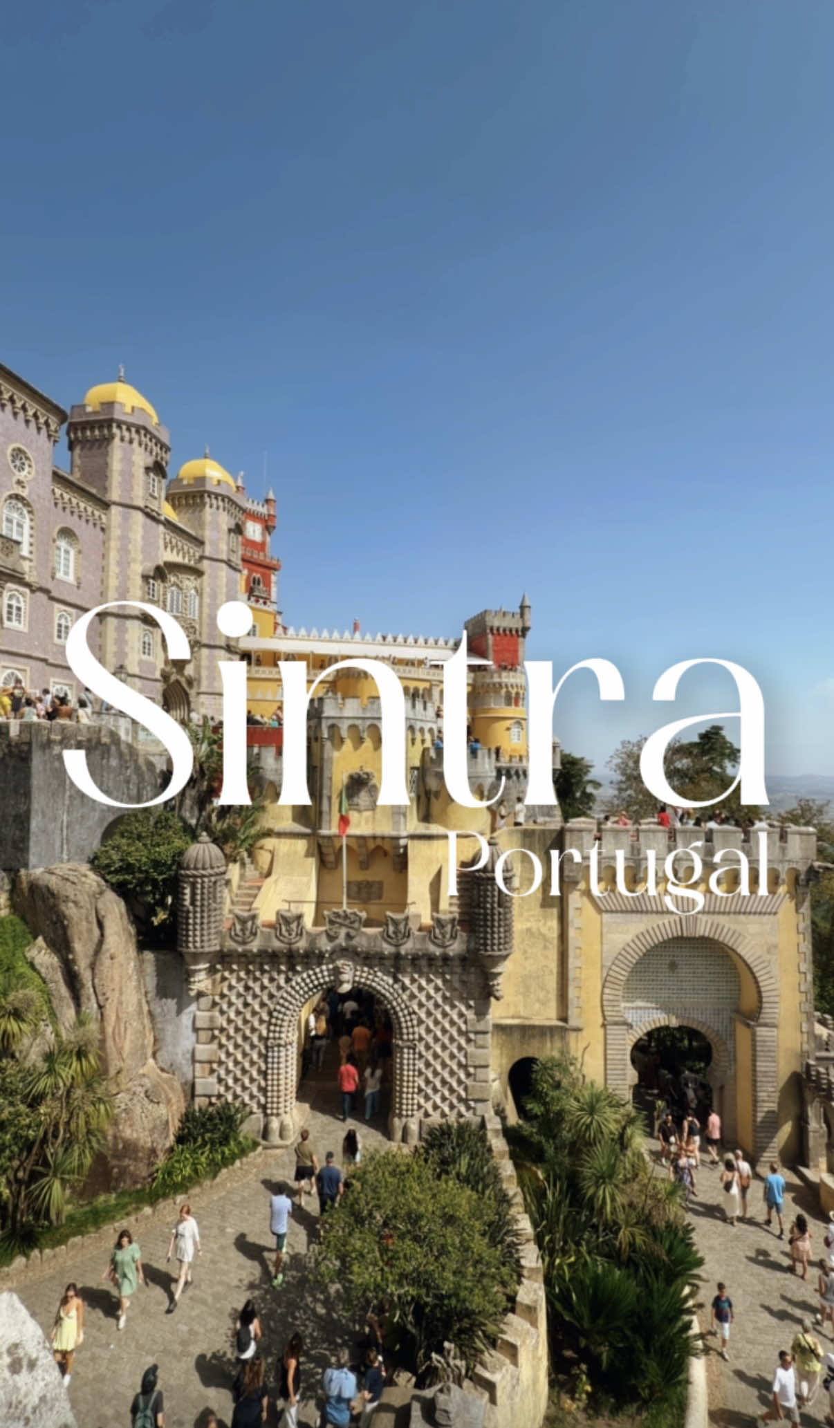 @Saria Travels