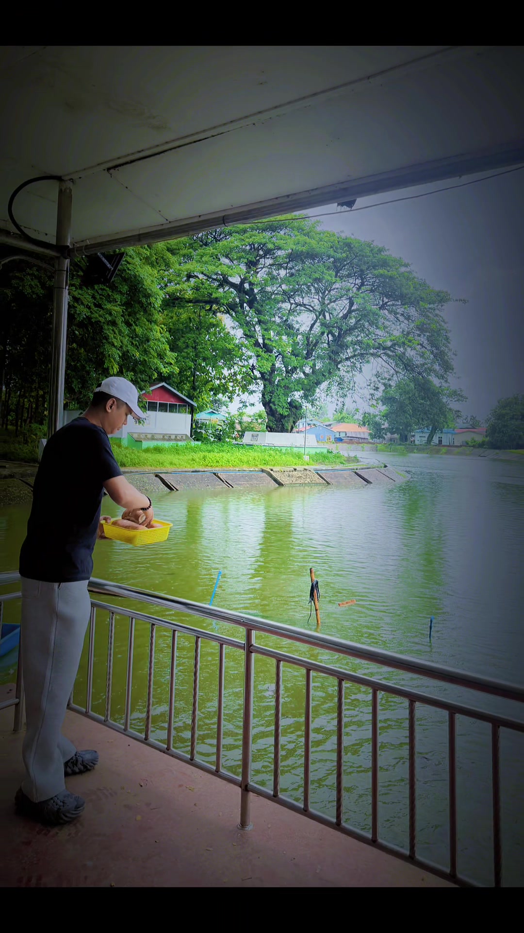 @KO THU