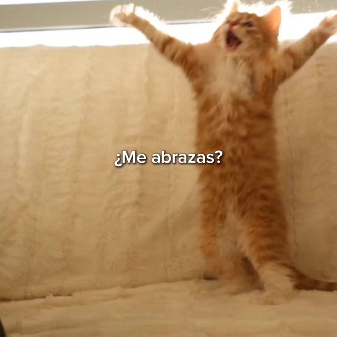 @goodvibessxd