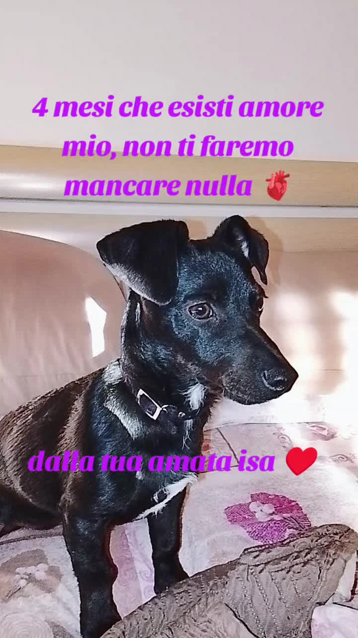 @Simona Sabatino