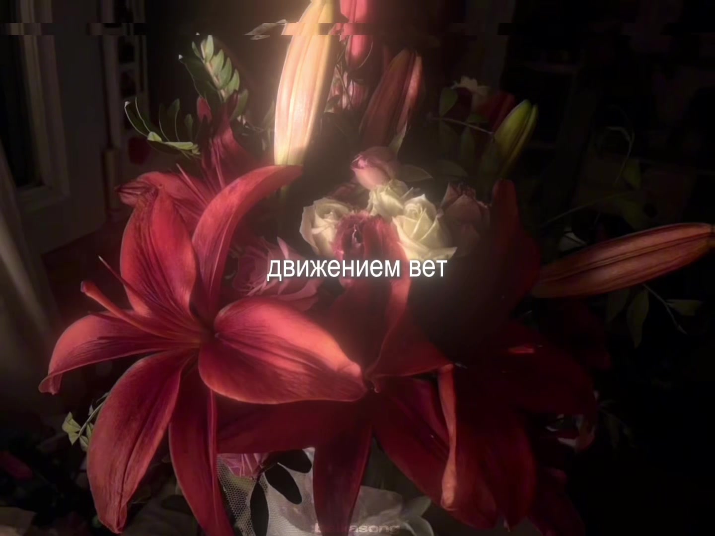 @звуки для липсингов
