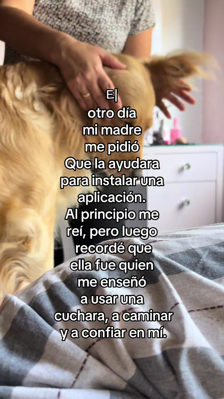 @Soytefi