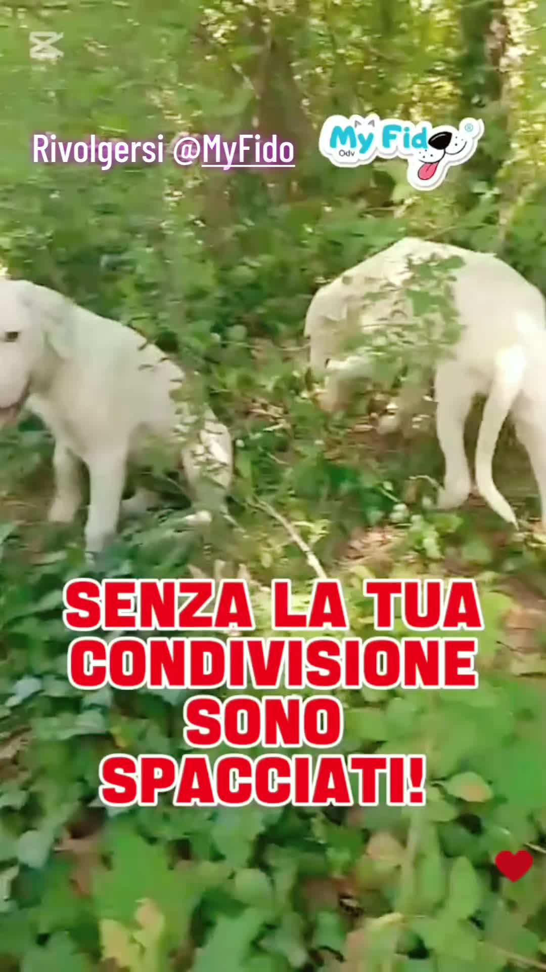 @VENNE DAL FREDDO 🥶