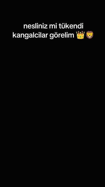 @@πYUNUS.shbl.04