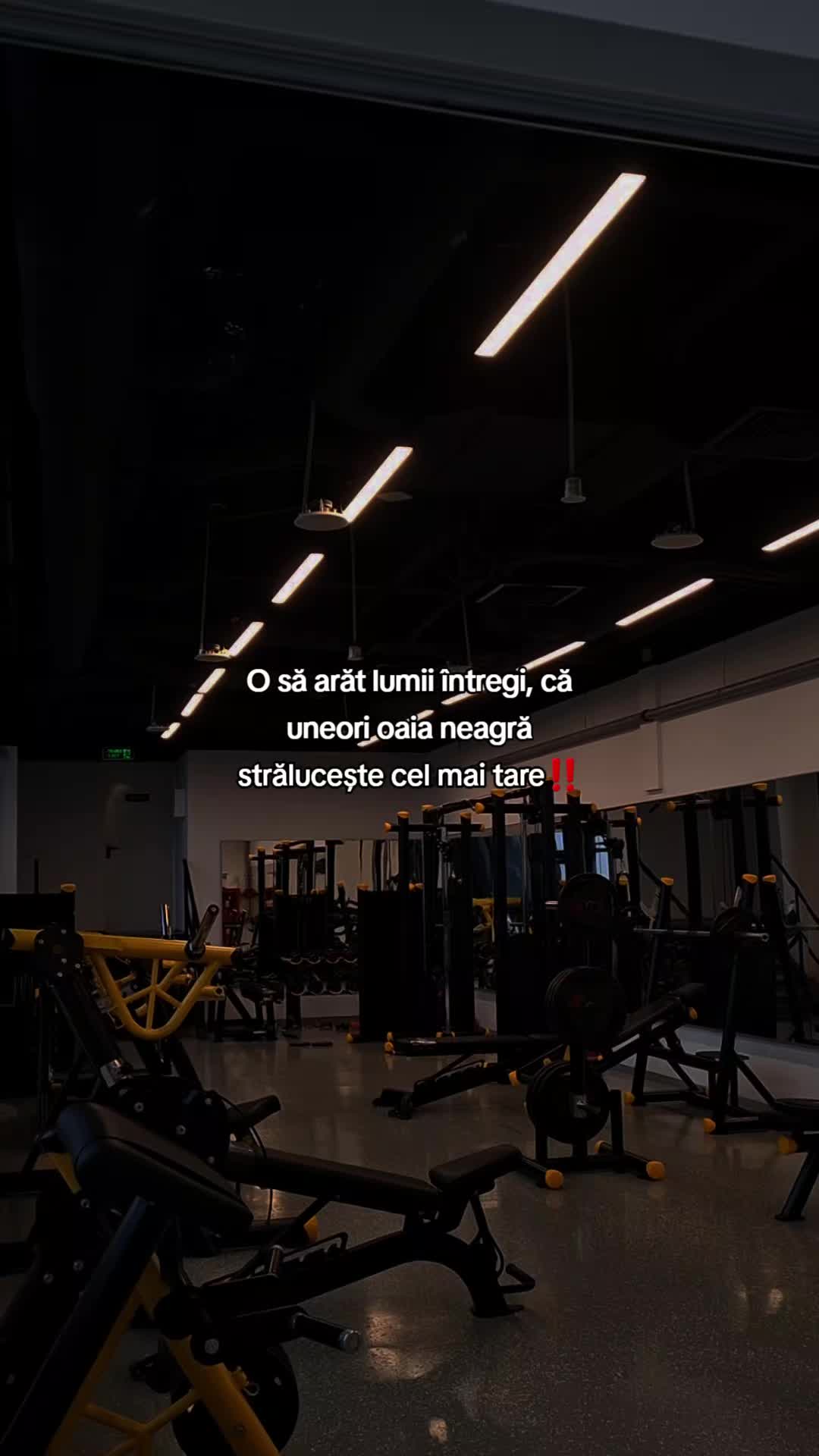 @Citate214🤍