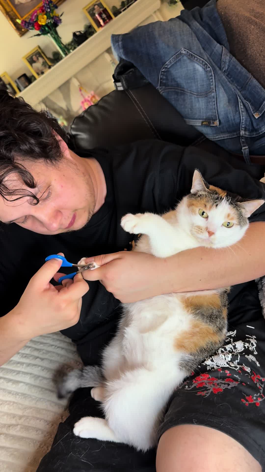 @Tali & Cats