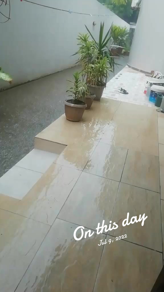 @Sunny