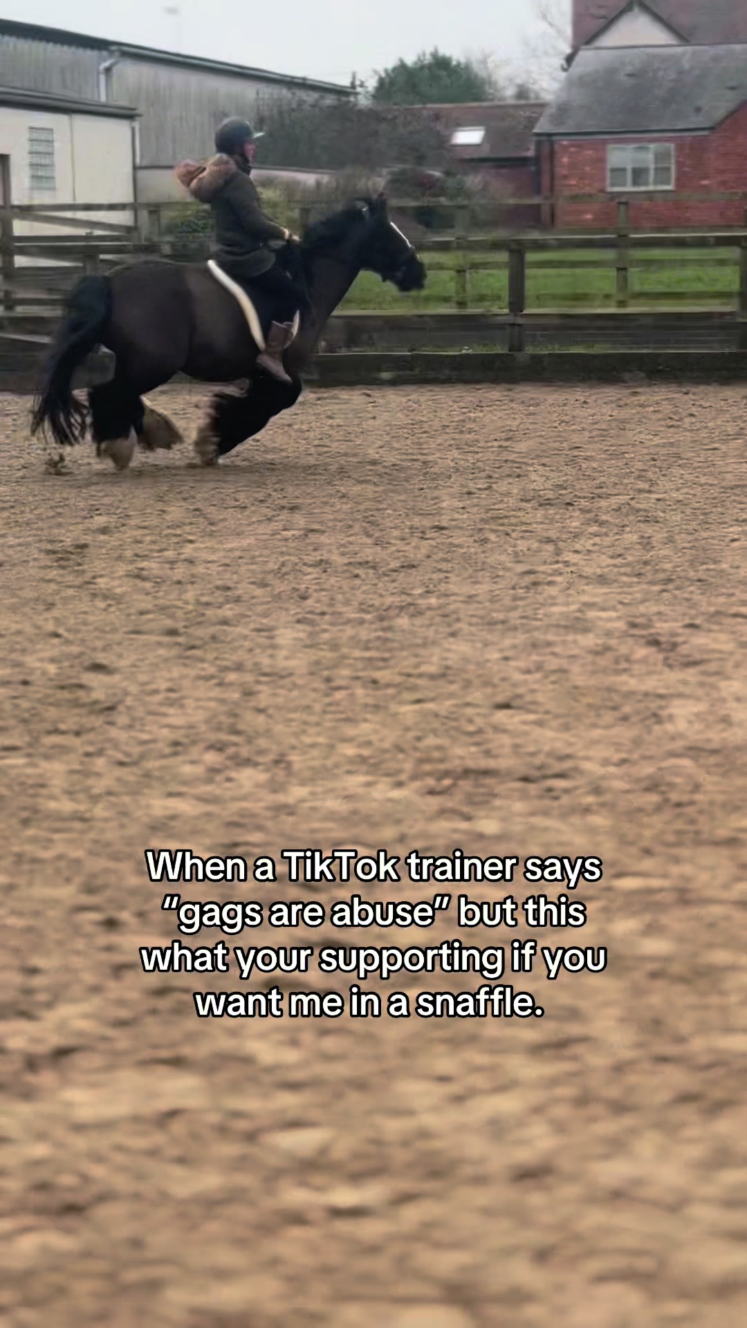 @Sophie&merlin🌸🐴