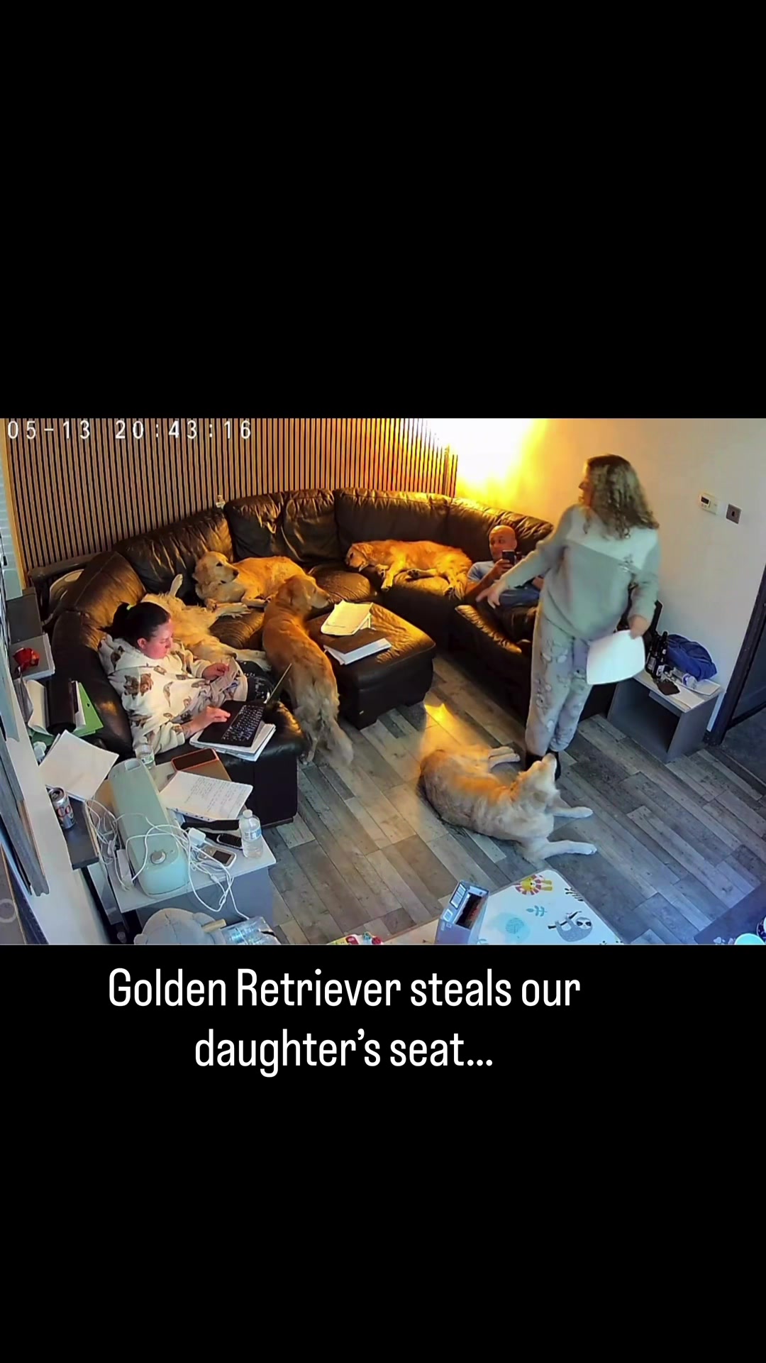 @5 Shades of Golden