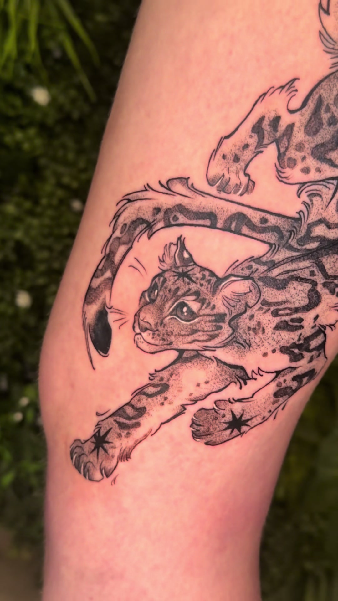 @moggy_tattoo
