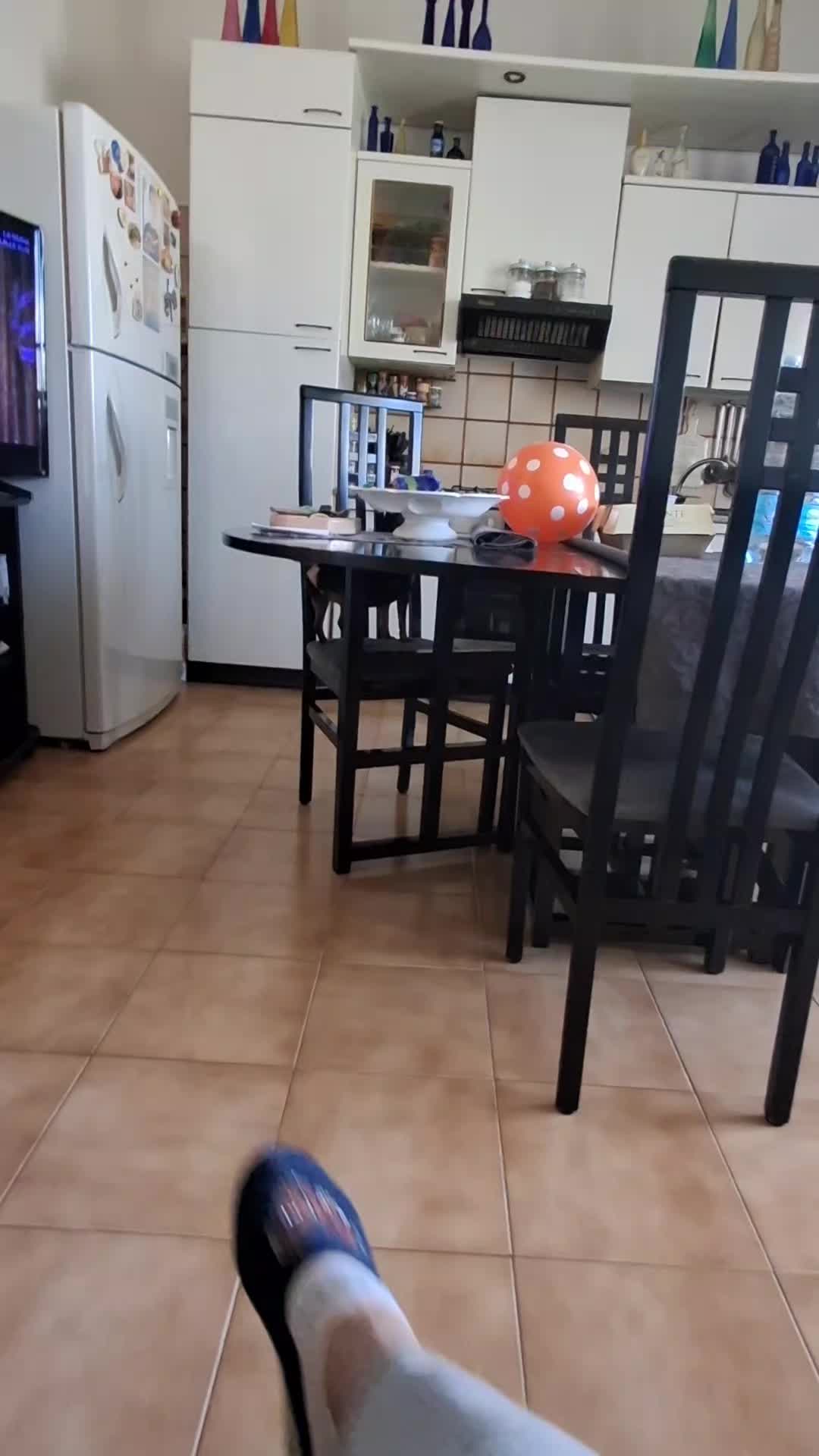 @leonessa