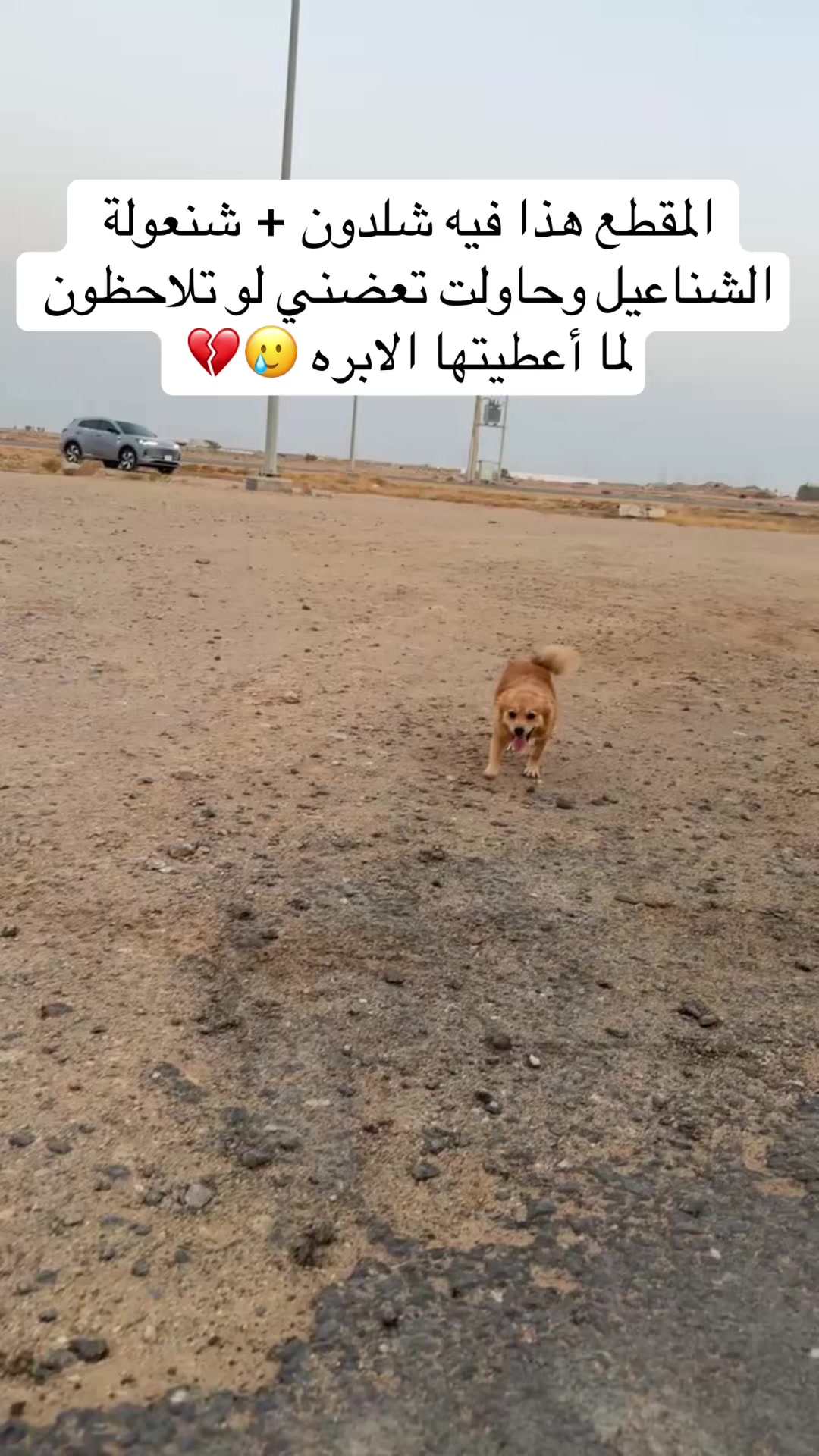 @مـاجـد✨
