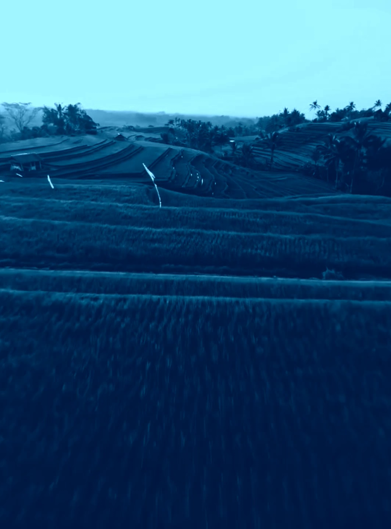 @𝖥𝗅𝗒 𝖲𝗈𝗅𝗒