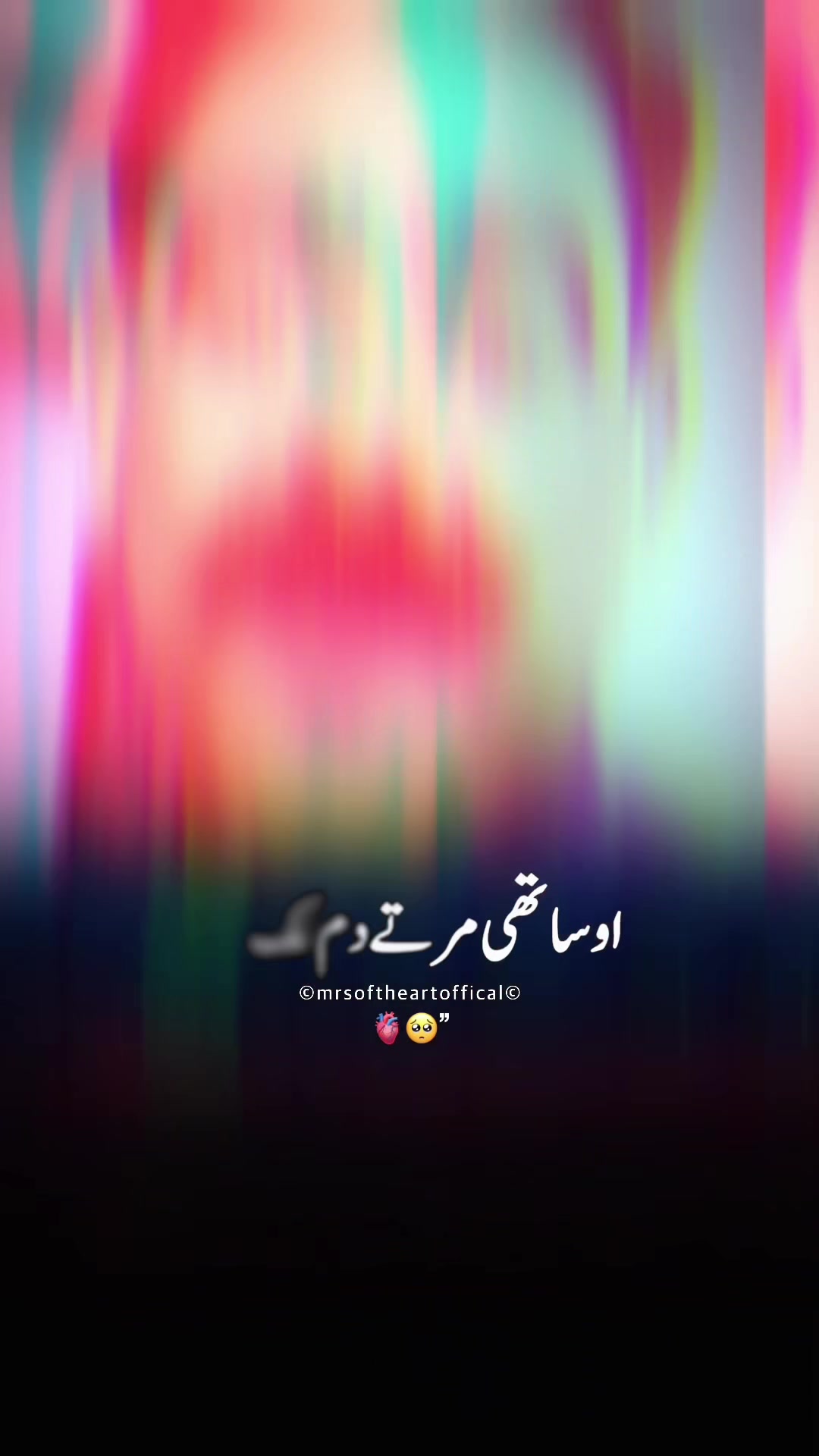 @Roy Aamir