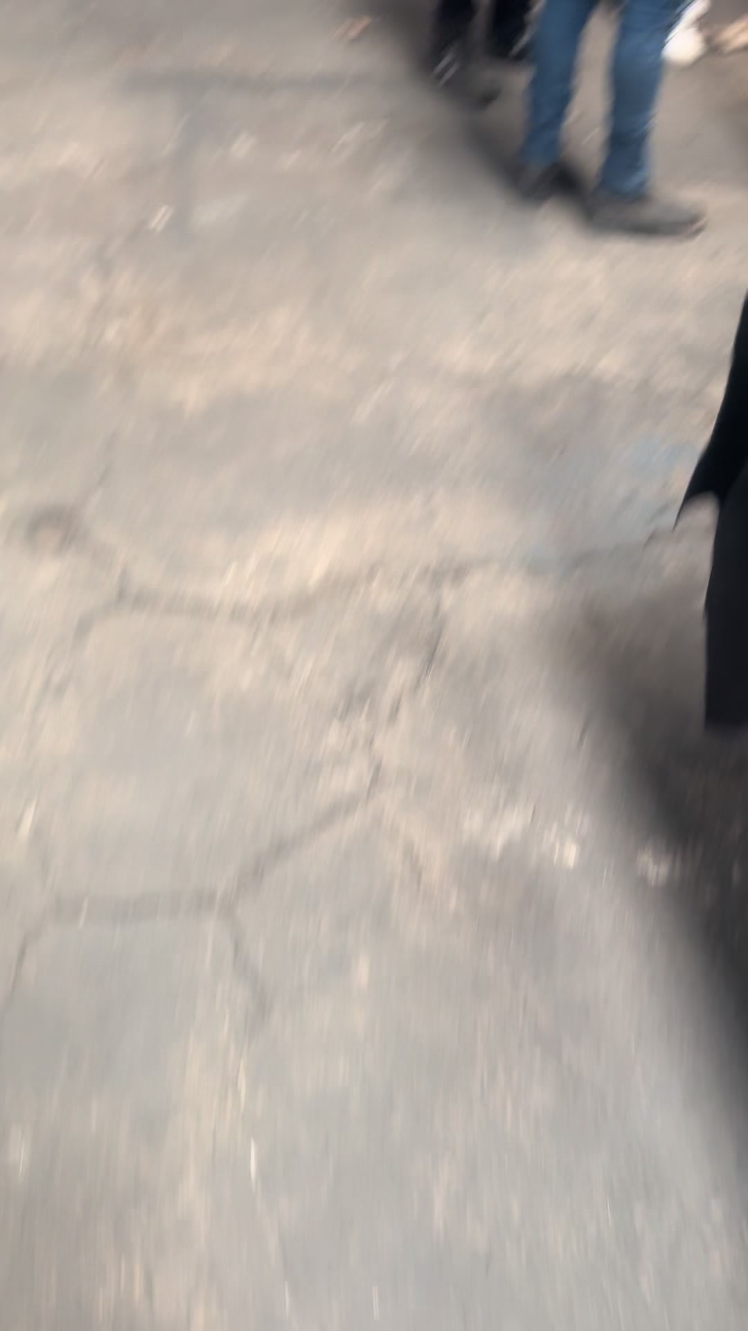 @ripeto32