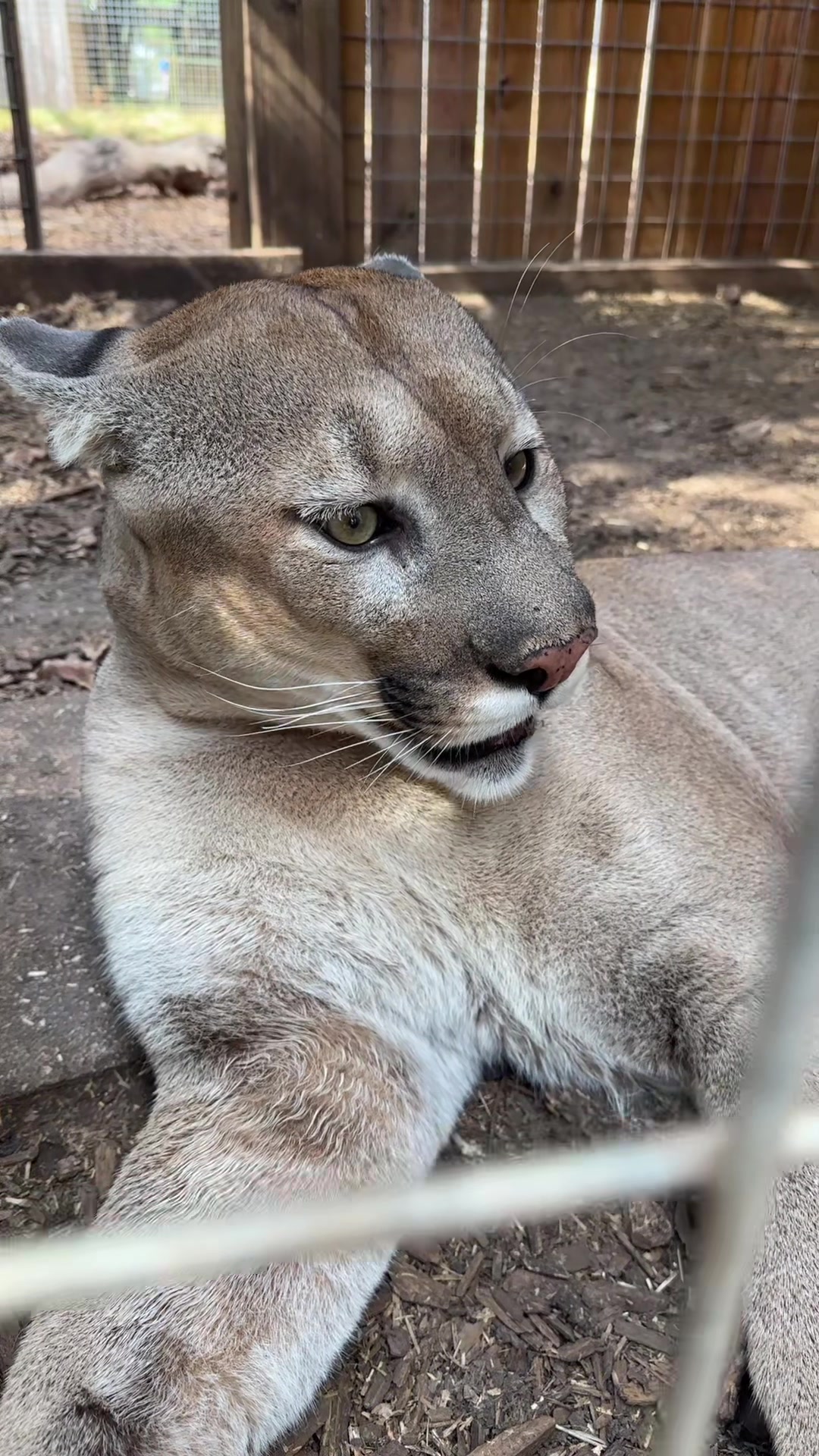 @Texas Wildlife Park