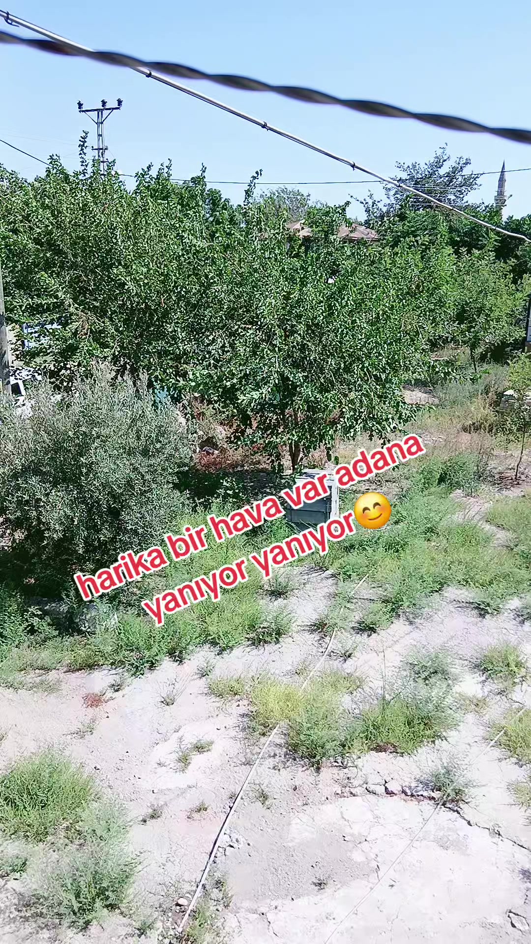 @Elif yeşilbaş karacan