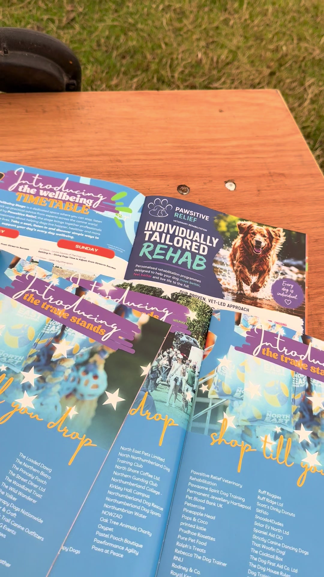 @northeastdogfestival
