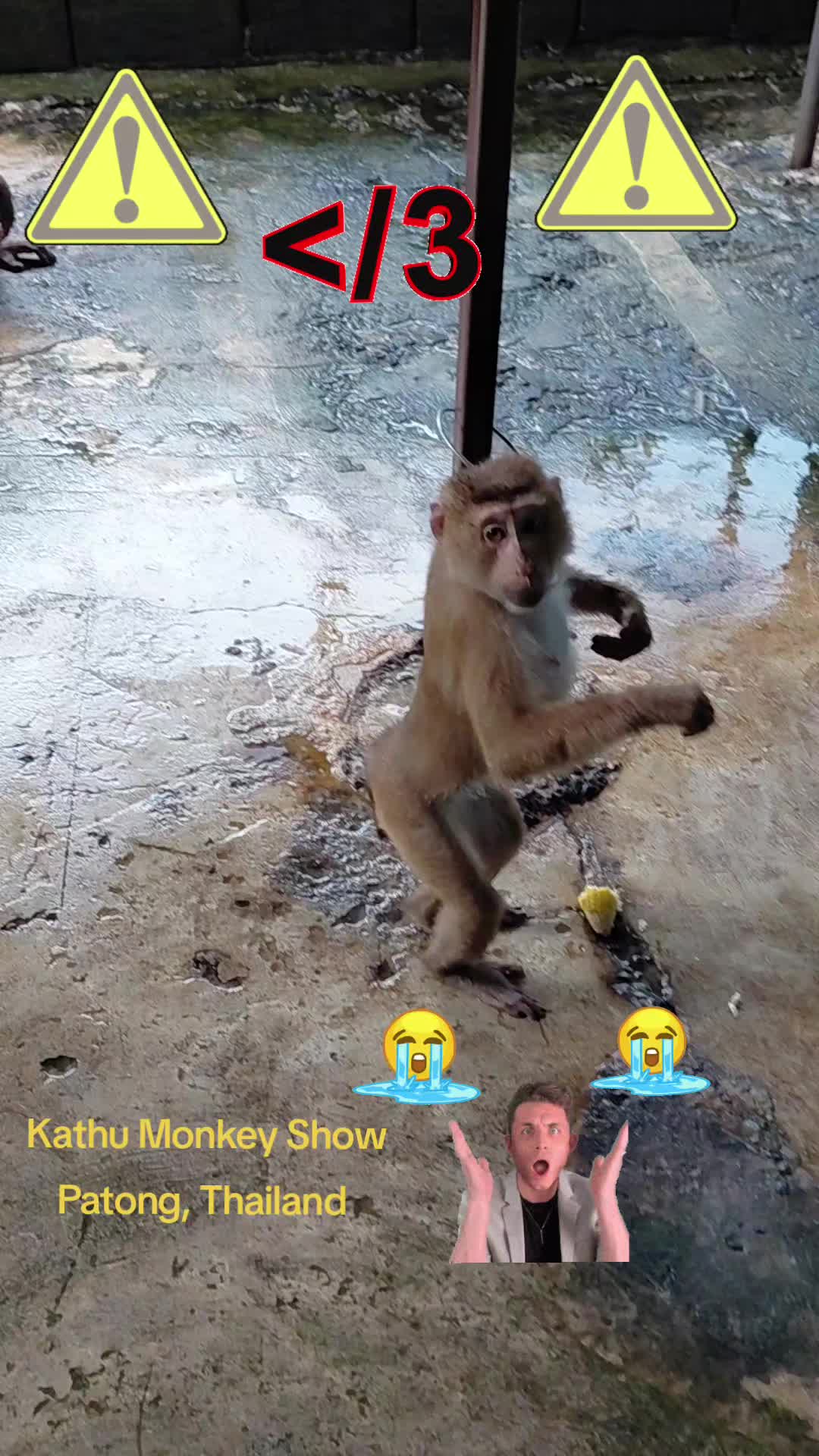 @🥭 🥝 🌶 🥥