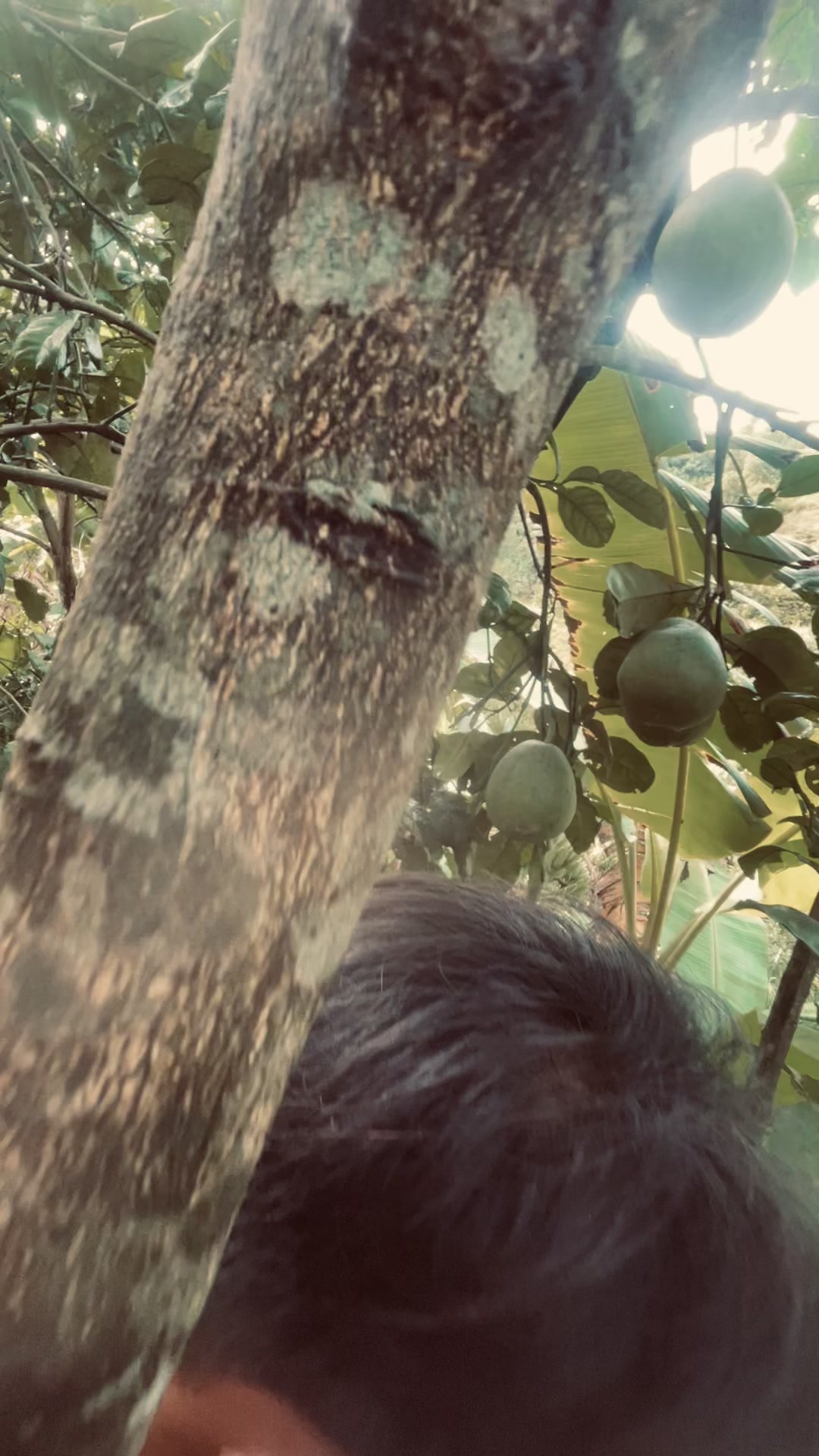 @Pếnh skay
