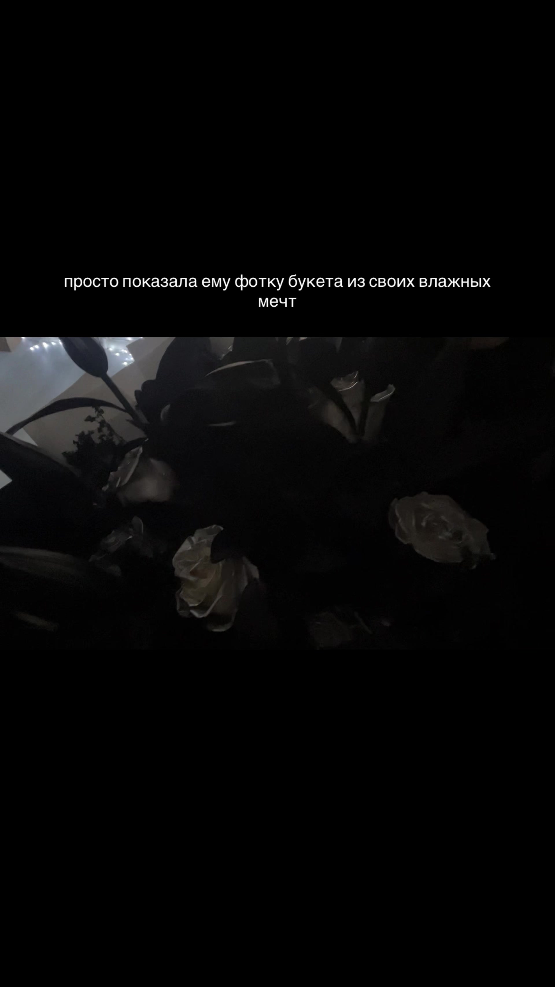 @(не) святая софия