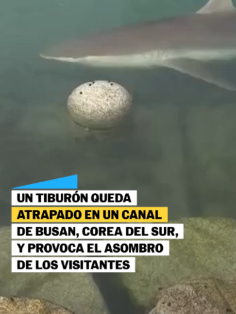 @El País