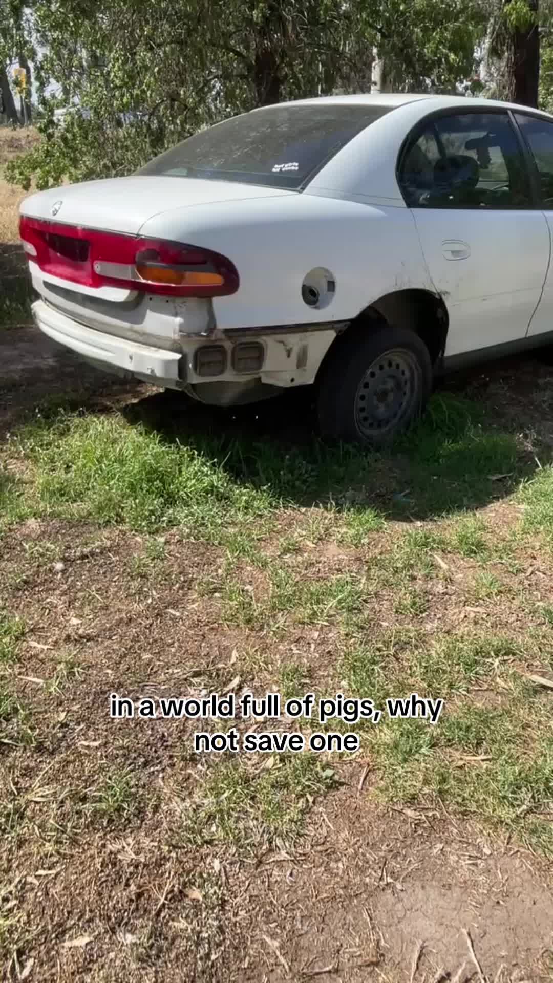 @WomenAreScary🫦