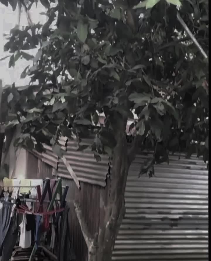 @BangRony🀄
