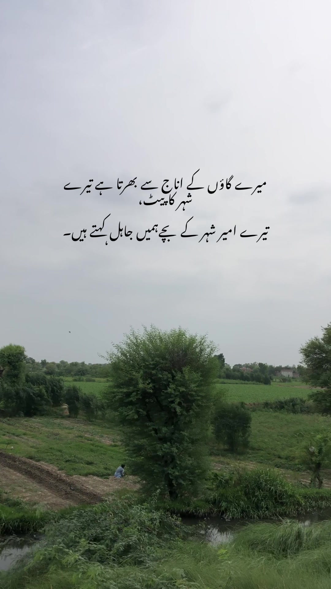 @𝘔𝘰𝘪𝘻.