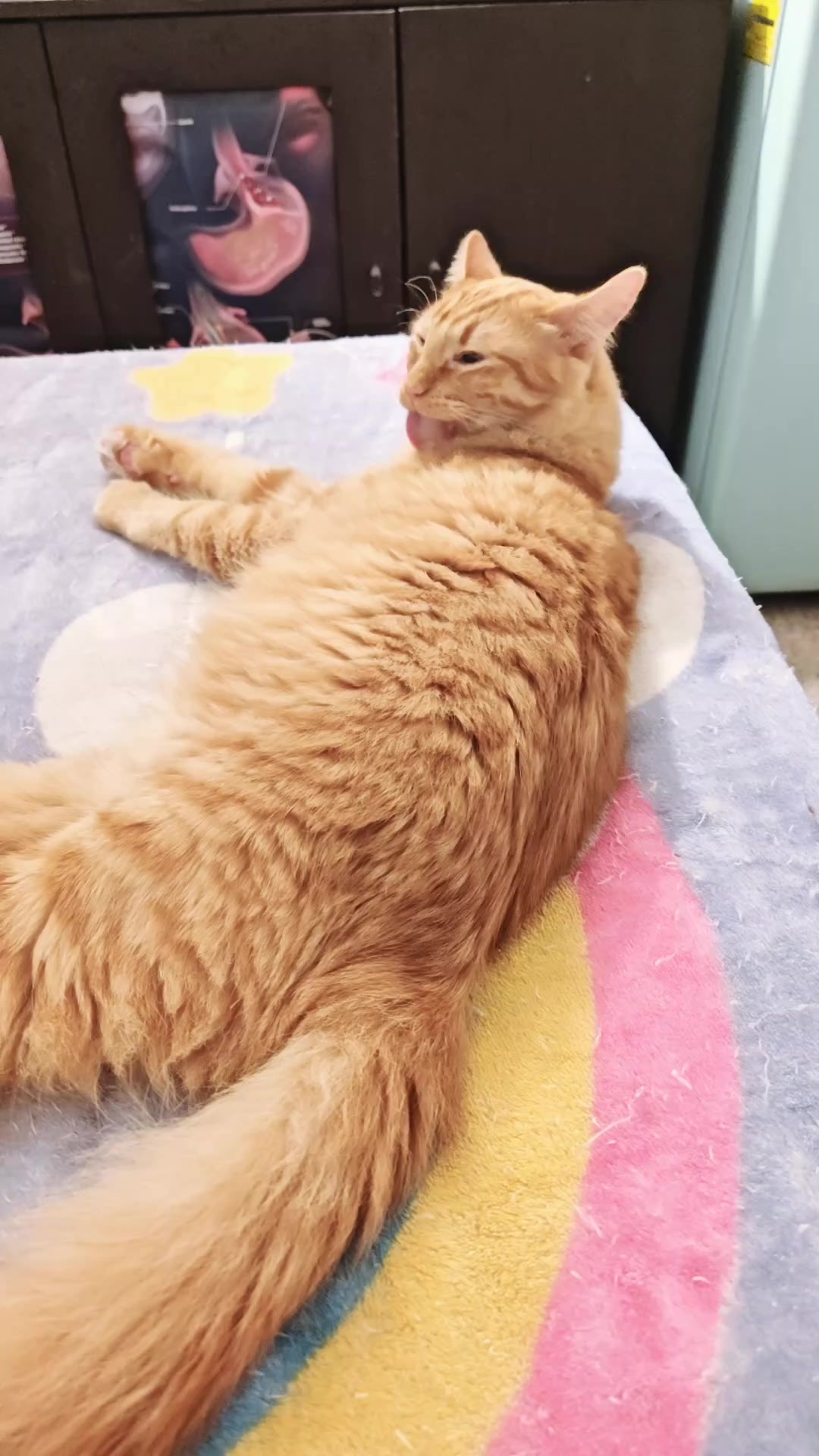 @LeztI 😻😺😽💕