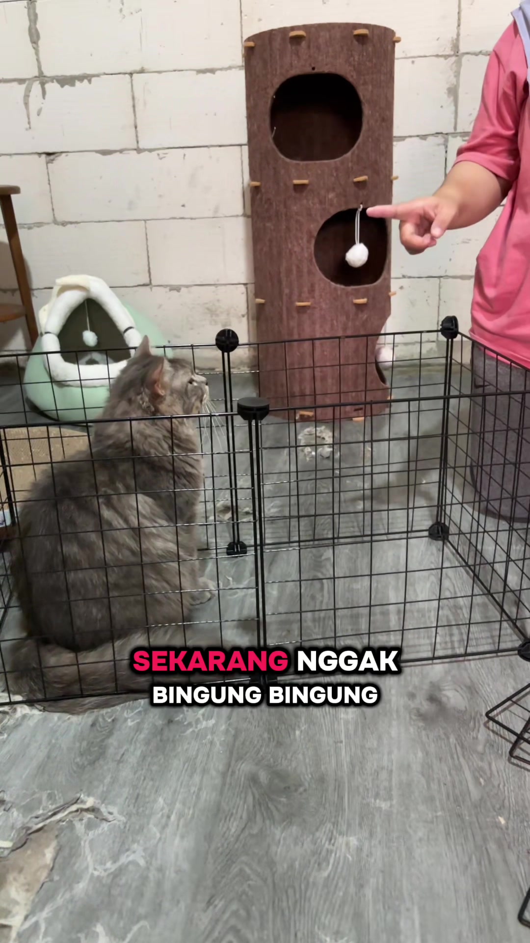 @BUMI ANABUL😺