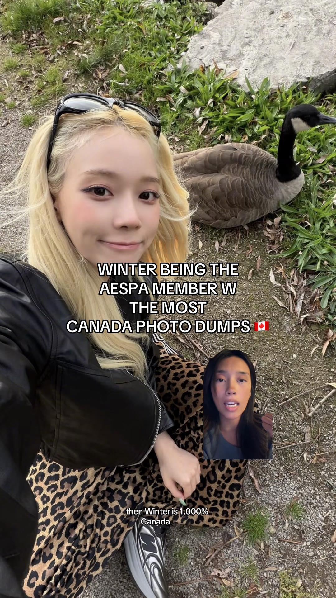 @chase